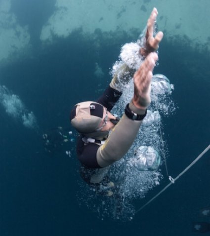 herbert freediving